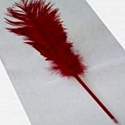 1 Ad Kırmızı Tüylü Tükenmez Kalem, Tüylü Gelin Nikah Kalemi