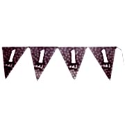 1 Adet 1 Yaş Pembe Kız  Puantiyeli Flama 2.2 mt 10 Bayrak Doğum Günü Parti