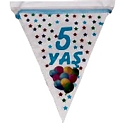 1 Adet 10 Bayraklı 5 Yaş Bayrak Flama Mavi Erkek 2.2 m Doğum Günü