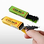 1 Adet Böcek Çıkan Sakız, Şaka Malzemesi