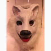 1 Adet Hayvan Şekilli Maske, Tüylü Köpek Şeklinde Parti Maskeleri