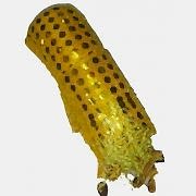 10 Adet Sarı Halay Mendili, 18x15 cm Kına Malzemeleri