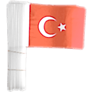 80 Adet Çubuklu Türk Bayrağı 23 Nisan 19 Mayıs 30 Ağustos Okul