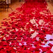 1000 Adet Gül Yaprağı, Romantik Süsleme Gül Yaprakları