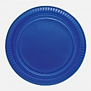 25 ADET Koyu Mavi Tabak 22 cm Kullan At Doğum Günü Parti