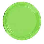 25 ADET Yeşil Tabak 22 cm Kullan At Doğum Günü Parti