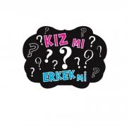 5 Adet Cinsiyet Belirleme Açıklama Partisi Gözlük Konuşma Çubuğu