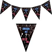 Cinsiyet Açıklama Parti Konsepti Kız Mı Erkek Mi Yazılı Flama