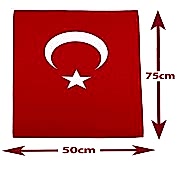 Yılbaşı Parti Tacı Noel Şapkalı Taç 1 Adet