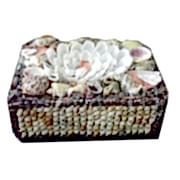 Deniz Kabuklu Dikdörtgen Şeklinde Hediyelik Kutu 13cm