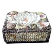 Deniz Kabuklu Dikdörtgen Şeklinde Hediyelik Kutu 14cm