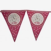 İlk Dişim Pembe Flama Diş Duğdayı Kız Dirgit Parti Yazı