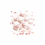 Rose Gold Konfetili Şeffaf Balon Seti - 10 Adet