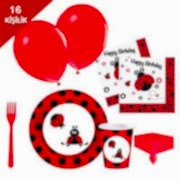 Uğur Böceği 16 Kişilik 8 Parça Doğum Günü Seti malzemeleri